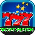 all cricket match Premium Edition v4.1.6