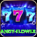 andy flower Turbo Pro v5.2.4