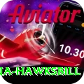 antigua hawksbill Deluxe Pro v5.1.6