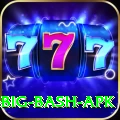 bbl big bash apk Plus Pro v2.8.0