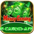 Betandyou VIP Casino App