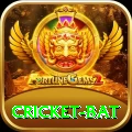 cricket bat Gold Pro v5.9.7