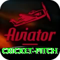 cricket pitch Deluxe Edition v2.3.1