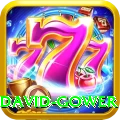 david gower Premium v4.4.8