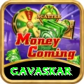 gavaskar VIP Pro v4.0.8