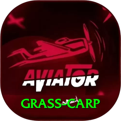grass carp Deluxe v2.6.9 - 2