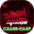 grass carp Deluxe v2.6.9