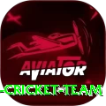 hong kong cricket team Apps (Tools & Injectors) Max v3.5.6