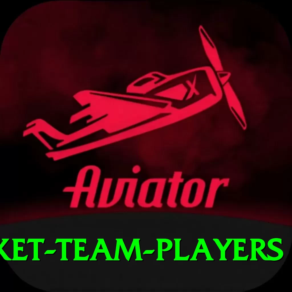 india national cricket team players Turbo Pro v4.9.5 - 2