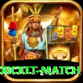 india pakistan cricket match Pro1 v1.1.7