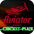 international cricket Slots VIP v5.5.3
