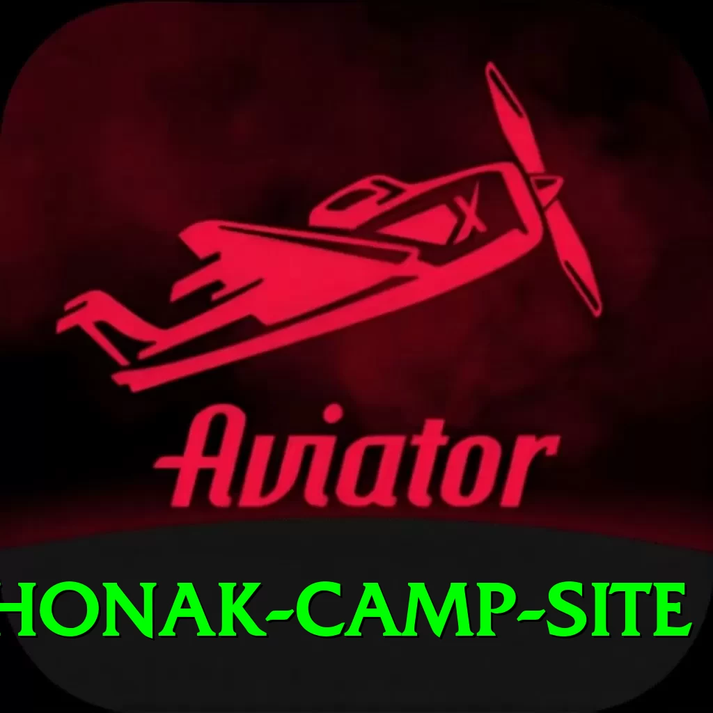 lhonak camp site Elite v3.5.7 - 2