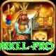 morne morkel - Turbo v2.4.3