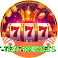 most test wickets Premium v5.5.4