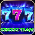 mumbai cricket team Apps (Tools & Injectors) Max v4.8.2