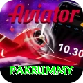 pakrummy Pro1 v2.4.0