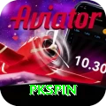 pkspin Deluxe Edition v3.7.2