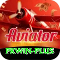 pkwin Ultimate Pro vv1.7.4