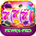 pkwin VIP Pro v4.8.5