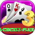 r cricket Ultimate 2024