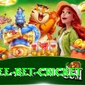 risk free bet cricket Pro Max v1.0.8
