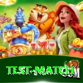 test match Pro Edition v5.5.5