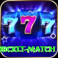 to day cricket match Elite Pro v5.2.5