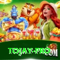 tojay Pro Max v1.3.5