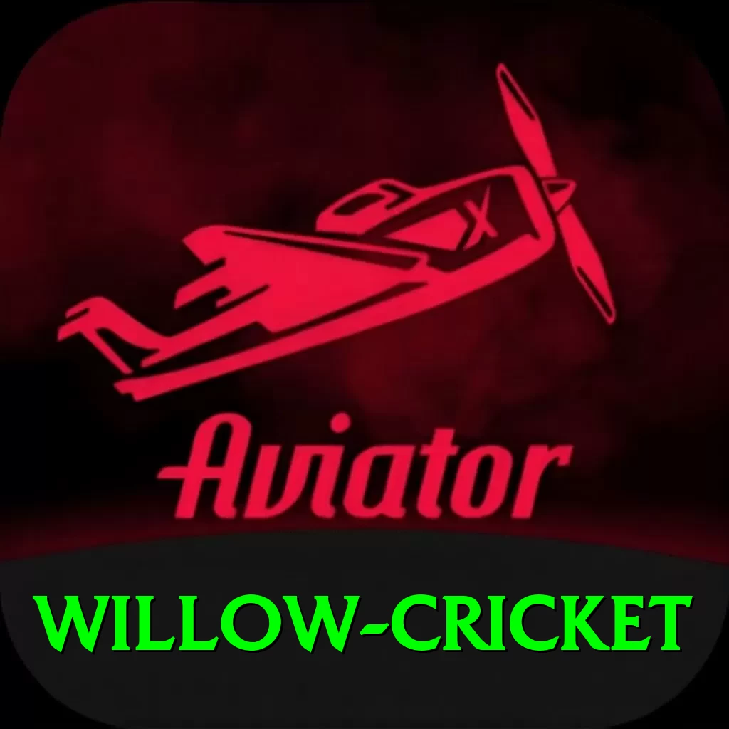 willow cricket Master v3.0.1 - 2